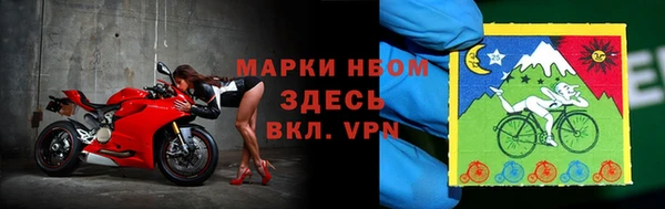 стаф Абаза