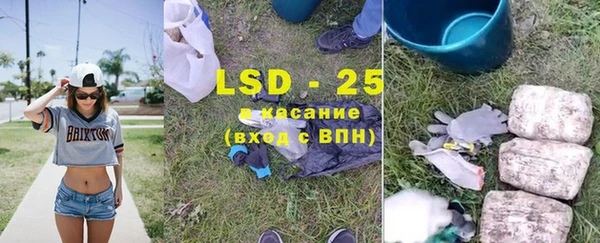 стаф Абаза